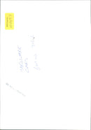 BMW 316i - Vintage Photograph