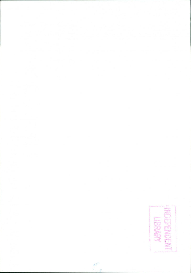 Company Cars - Vintage Photograph