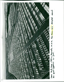 Nissan cars - Vintage Photograph