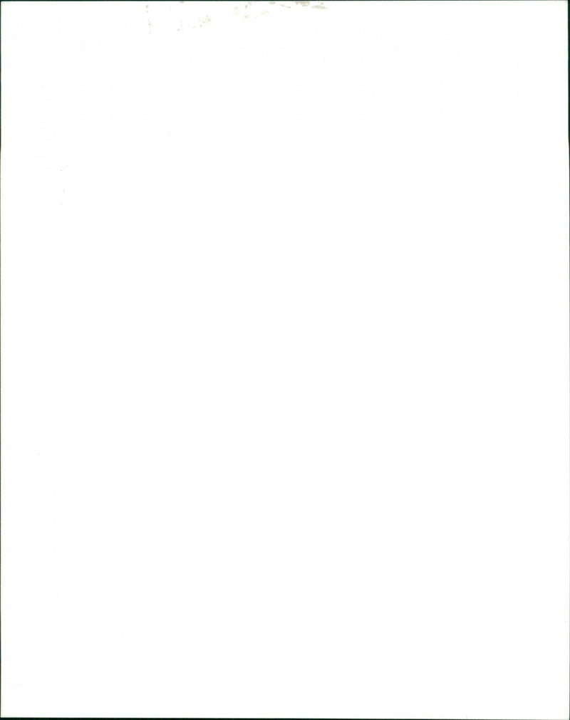 Parted Cars - Vintage Photograph