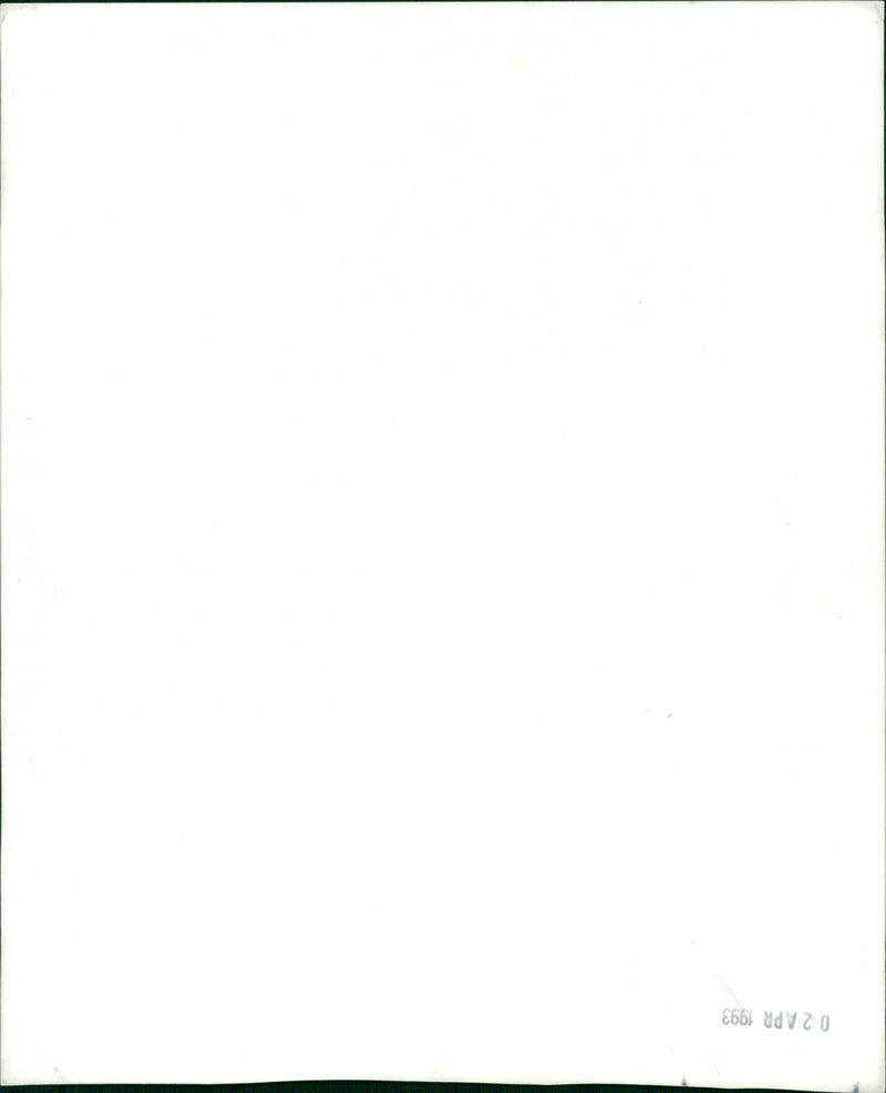 Nissan Cars - Vintage Photograph