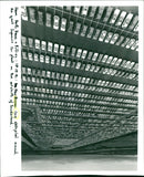 Nissan Cars - Vintage Photograph