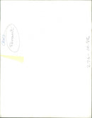 Renault Cars Sales. - Vintage Photograph