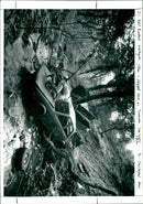 Car Theft - Vintage Photograph