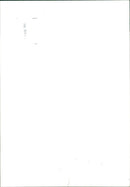 Car Theft - Vintage Photograph