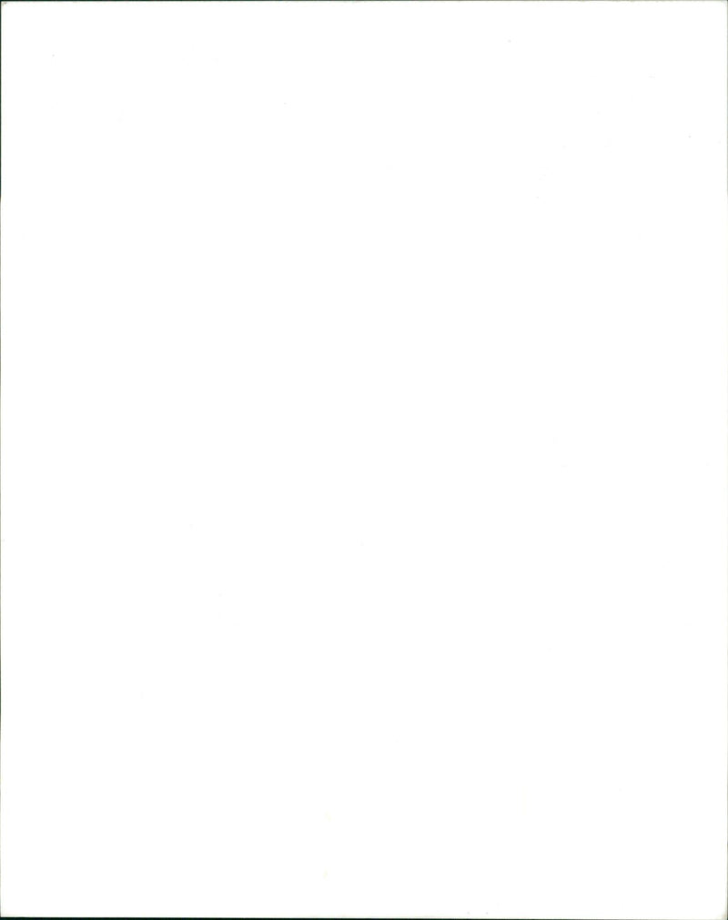 A nature's view of Jungfrau, Lauterbrunnen Switzerland. - Vintage Photograph