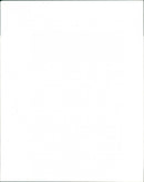 A photo by Ardea of a Cane toad (Bufo Marinus) - Vintage Photograph