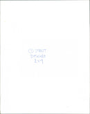 A Black hairstreak butterfly on the leaf - Vintage Photograph