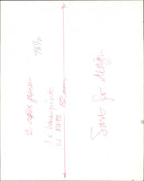 A sweet oil butterfly on the leaf - Vintage Photograph