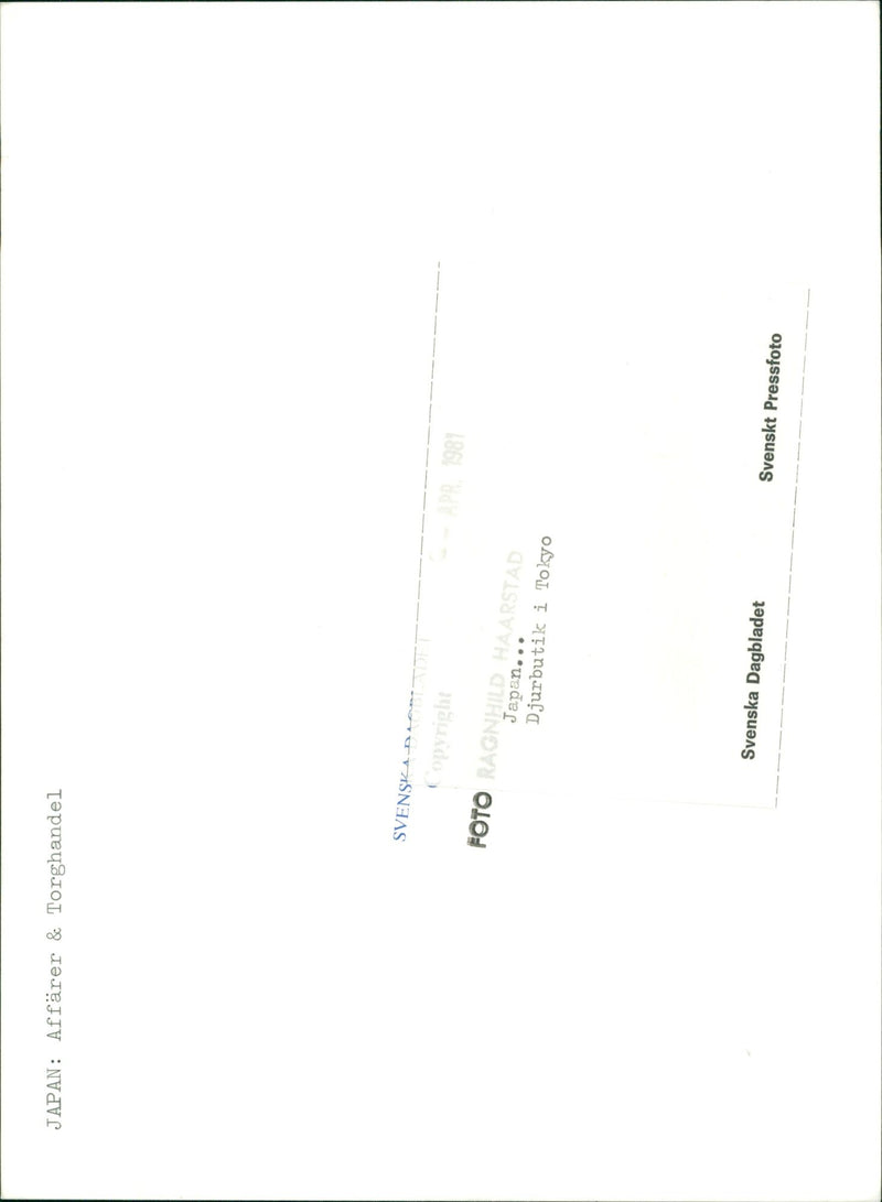 Hundar i en djuraffär i Tokyo - Vintage Photograph