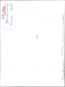 Statue of a deer attacked by hunting dogs from the city of Herculanuem - Vintage Photograph