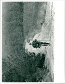 Field Marshal Hugh Henry Rose. - Vintage Photograph