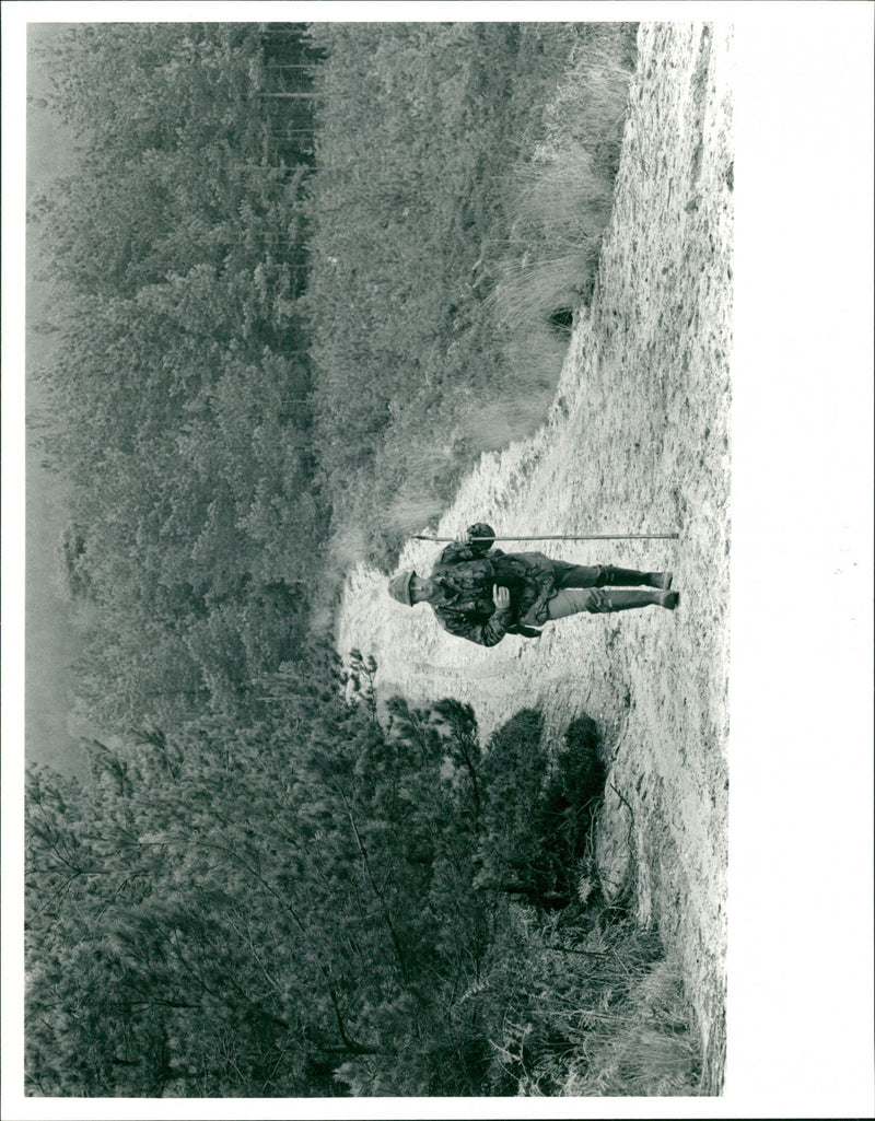 Field Marshal Hugh Henry Rose. - Vintage Photograph