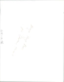 Field Marshal Hugh Henry Rose. - Vintage Photograph