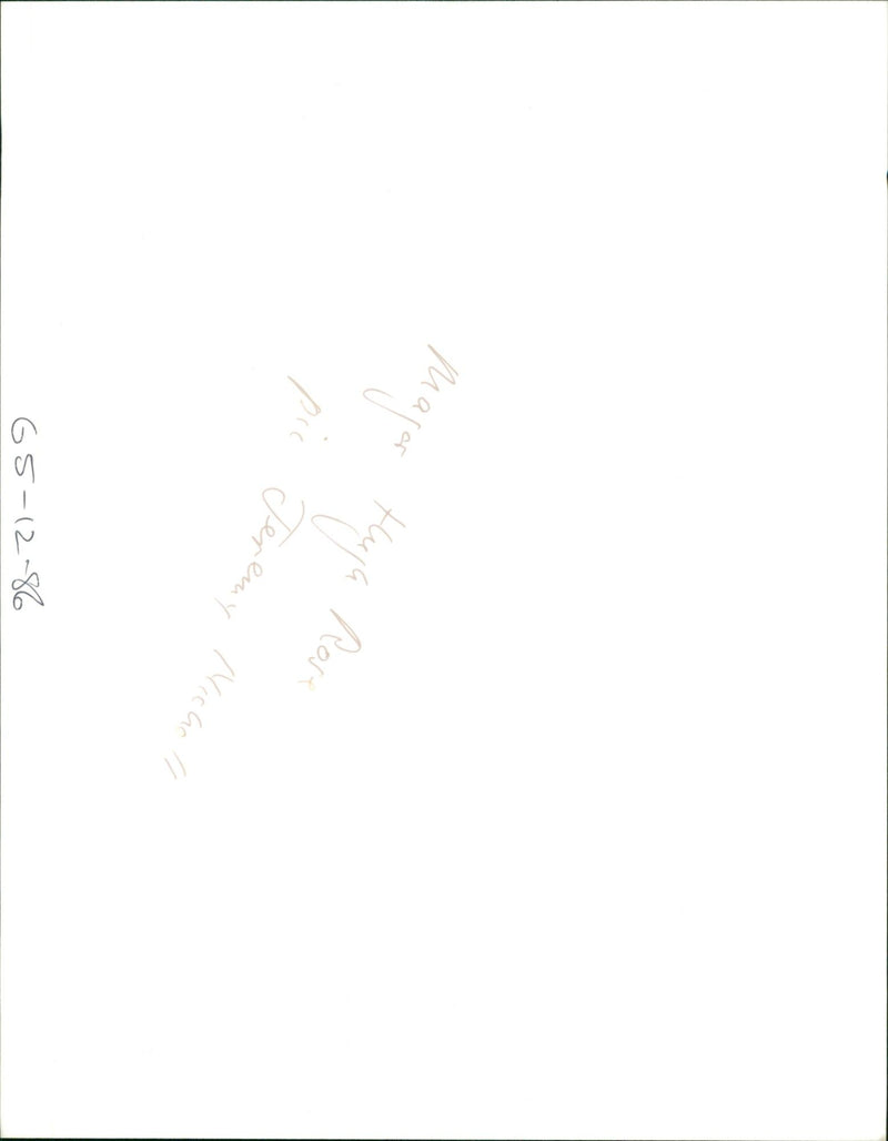 Field Marshal Hugh Henry Rose. - Vintage Photograph