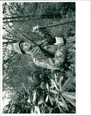 Field Marshal Hugh Henry Rose. - Vintage Photograph