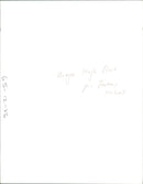 Field Marshal Hugh Henry Rose. - Vintage Photograph