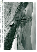 Benny Rothman - Vintage Photograph