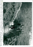 Benny Rothman - Vintage Photograph