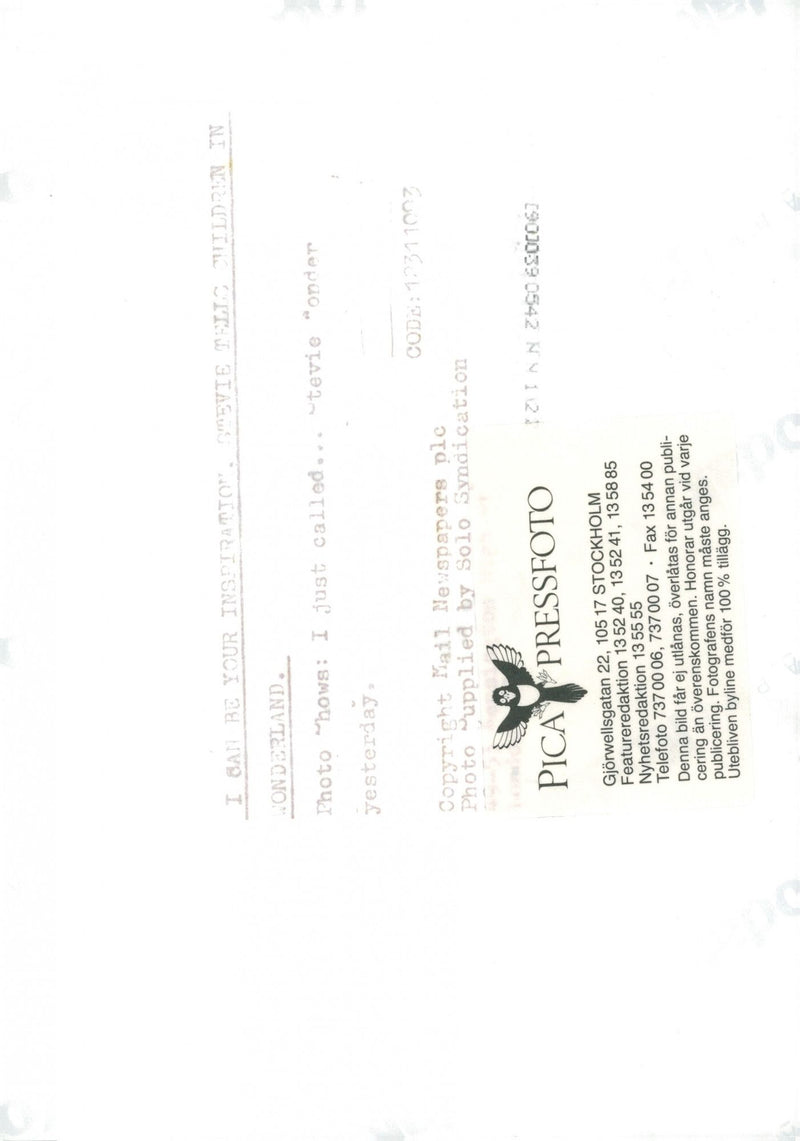 Singer Stevie Wonder - Vintage Photograph