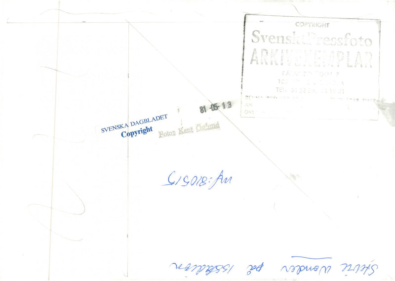 Singer Stevie Wonder - Vintage Photograph