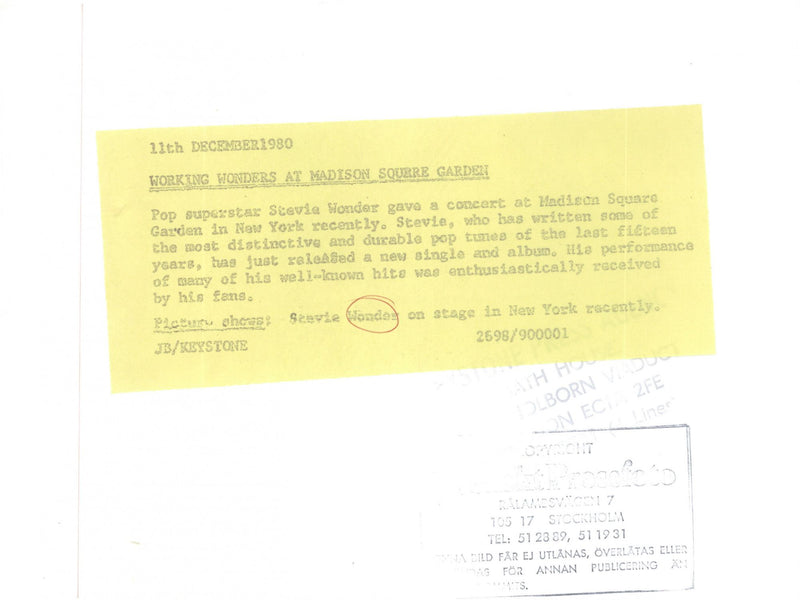 Singer Stevie Wonder - Vintage Photograph