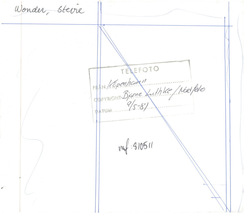 Singer Stevie Wonder - Vintage Photograph