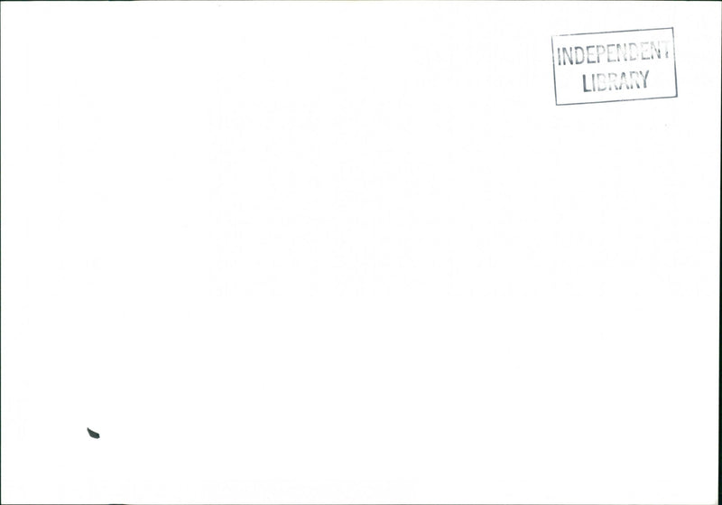 DAVID WRITER - Vintage Photograph