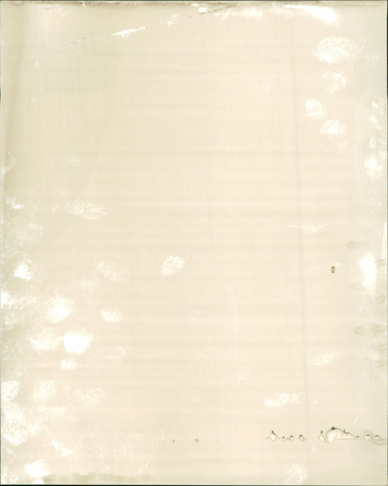 Musical Group. - Vintage Photograph