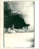 Musical Group. - Vintage Photograph