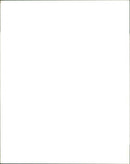 Lloyd Cole (l) and musical group the Commotions - Vintage Photograph