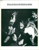 Artists of band 'Edward The Second And The Red Hot Polkas' - Vintage Photograph