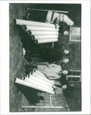 Musical group 'Echo City' artists together - Vintage Photograph