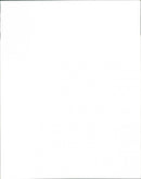 Sonya Madan and British rock band "Echobelly Rock band" - Vintage Photograph