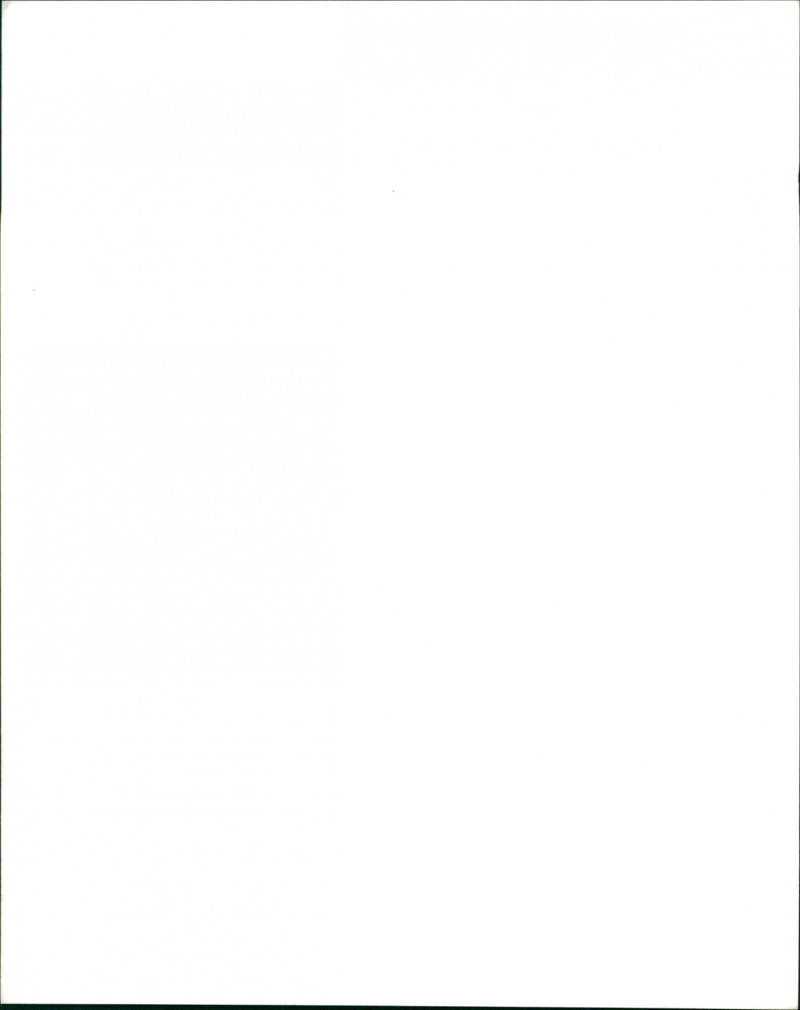 Rock band 'The Charlatans' artists pictured together - Vintage Photograph