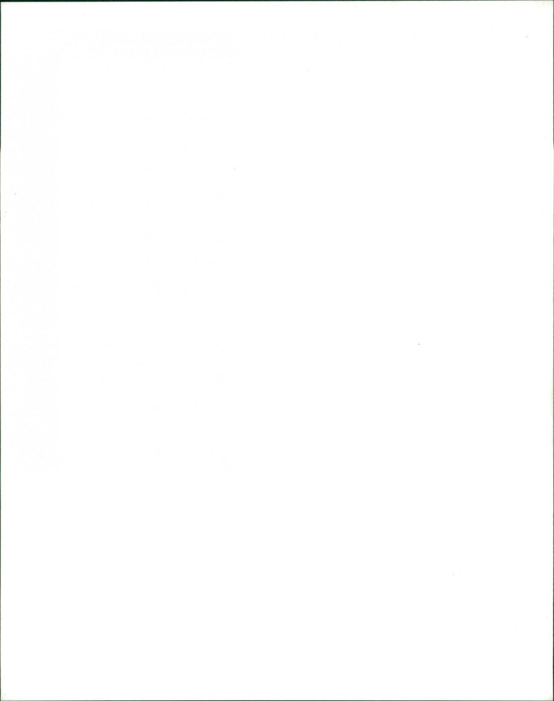 Cher/ - Vintage Photograph