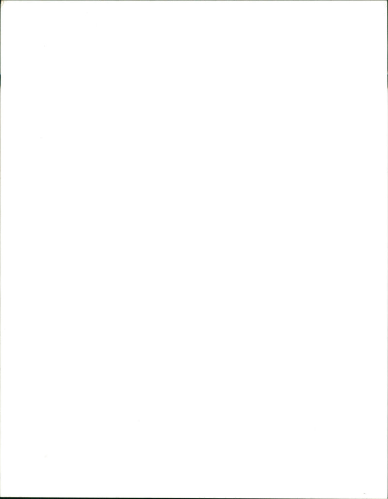 Bon Jovi Rock band at garden busk. - Vintage Photograph