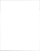 Benji the Hunted - Vintage Photograph