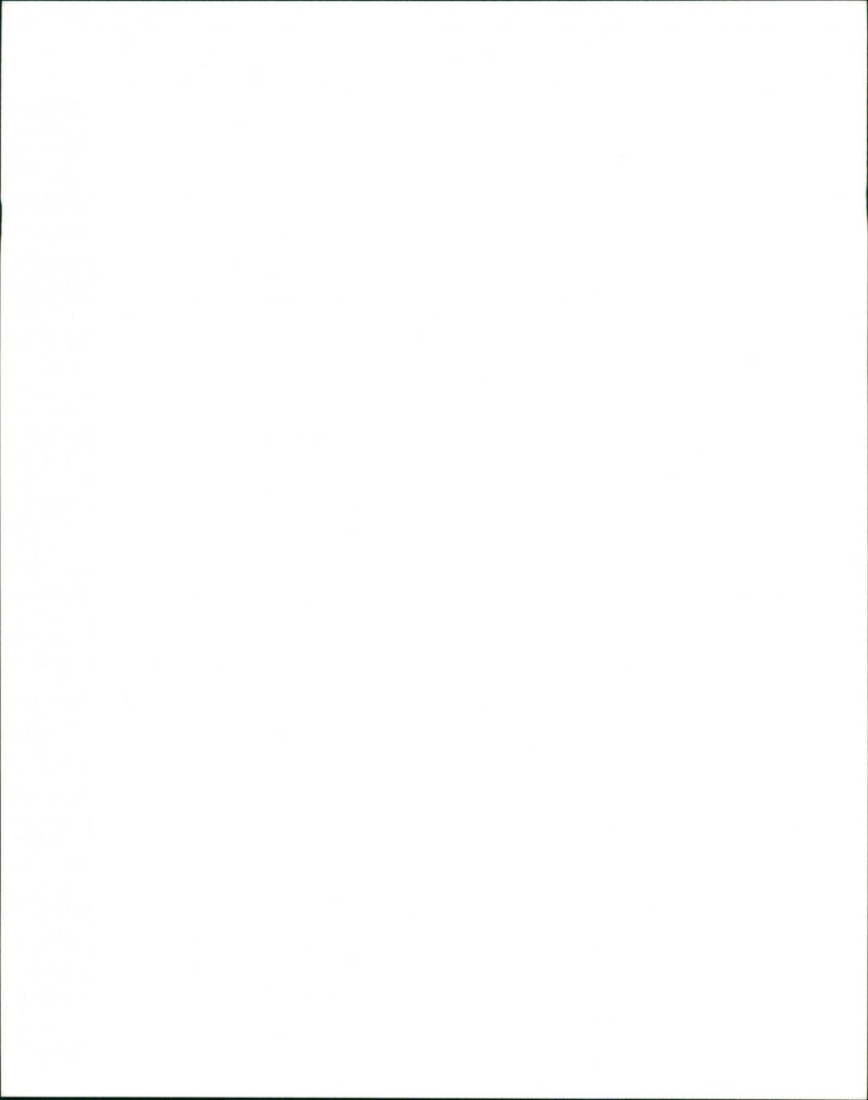 Benji the Hunted - Vintage Photograph