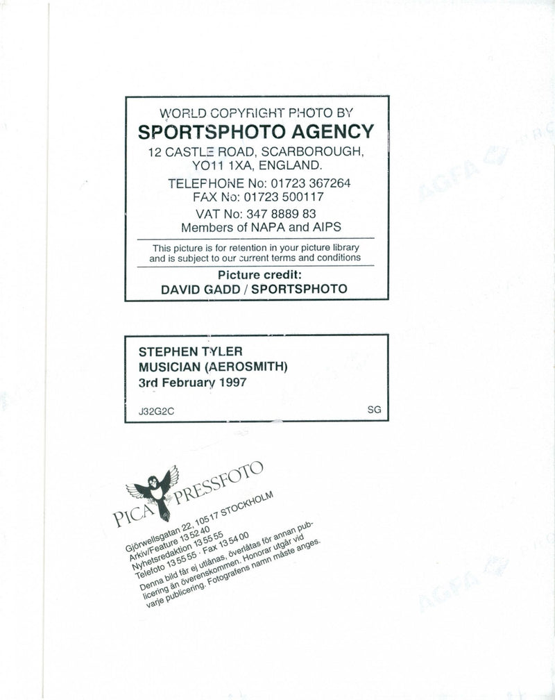 Stephen Tyler musician Aerosmith - Vintage Photograph