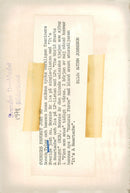 Bonnie Tyler, singer - Vintage Photograph