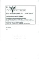 Concert picture on Joey Tempest taken at an unknown gig. - Vintage Photograph