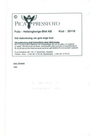 Concert picture on Joey Tempest taken at an unknown gig. - Vintage Photograph