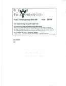 Concert picture on Joey Tempest taken at an unknown gig. - Vintage Photograph