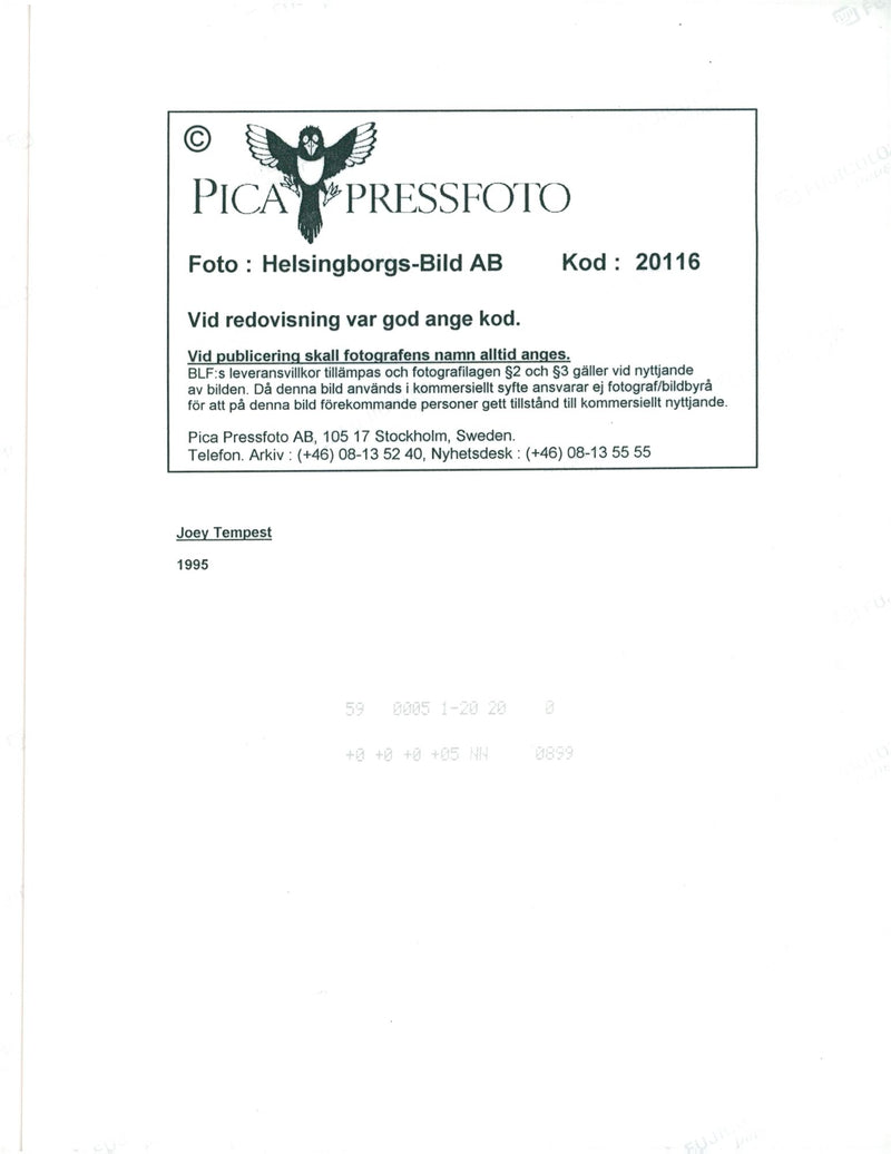 Concert picture on Joey Tempest taken at an unknown gig. - Vintage Photograph