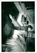 Marwell Zoo - Vintage Photograph