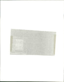 Zebra - Vintage Photograph