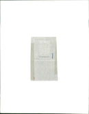 Zebra - Vintage Photograph