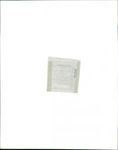 Zebra - Vintage Photograph