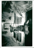 The Isle of Wight Zoo. - Vintage Photograph